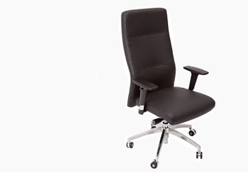 Meeting and Executive Chairs