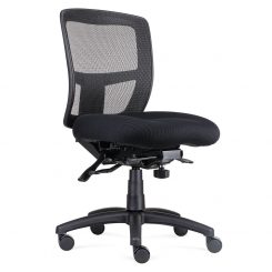 Ergo Ergonomic Office Chair Black