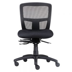 Ergo Office Chair