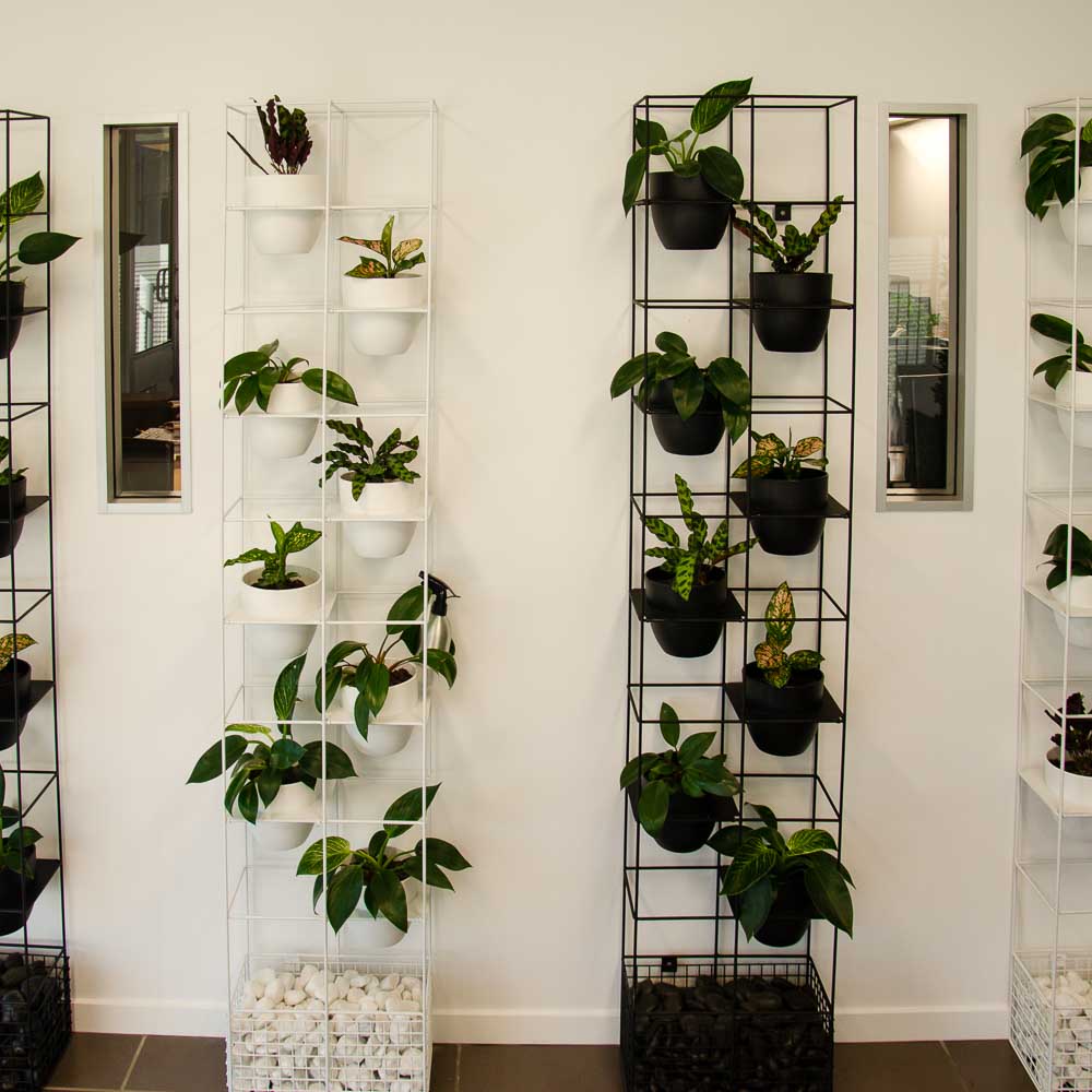 bloom vertical garden design