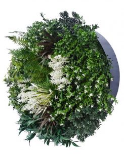 Splice 60 Greenery Wall Disc