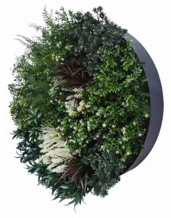 Splice 80 Greenery Wall Disc