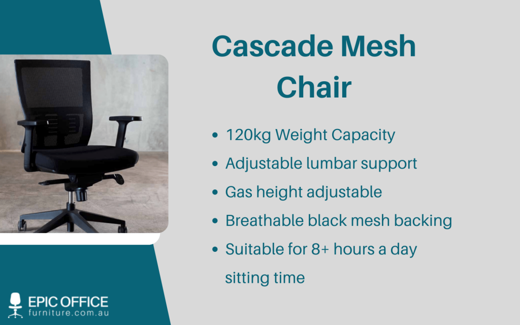 Desk chair for lower back online pain