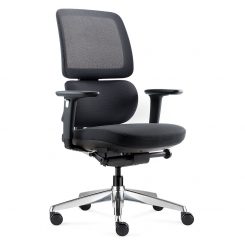 Orca Ergonomic Office Chair