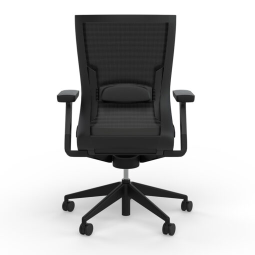 Balance Project Chair with Adjustable Armrests and Lumbar Support