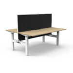 Boost Static Workstation 2 person back to back with screen