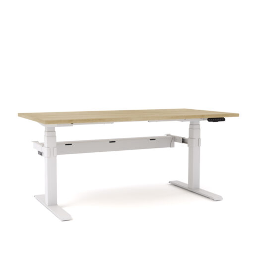 AgileMotion Electric Standing Desk Oak top White Frame with cable tray
