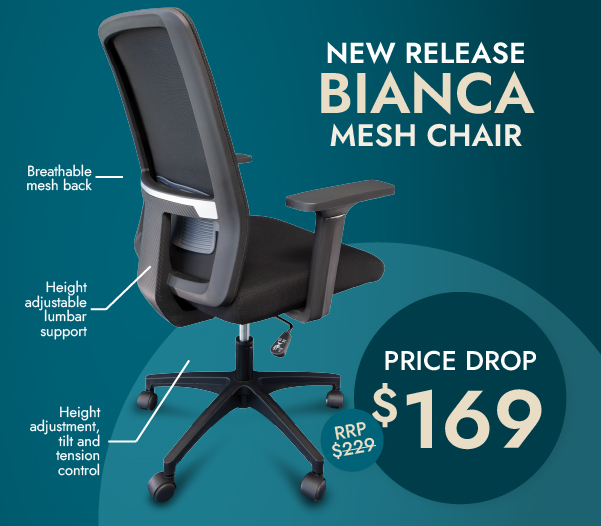 Bianca Office Chair back side showing product details