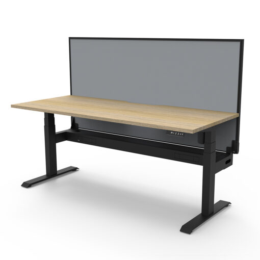 Boost Light Standing Desk with Partition Screen