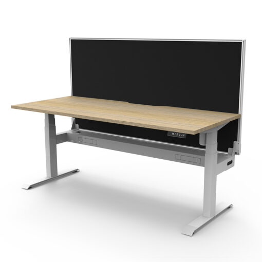 Boost Light Standing Desk with Partition Screen