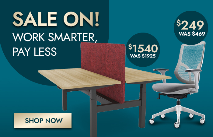 Work smarter pay less sale with double sided workstation and chic mesh office cahir