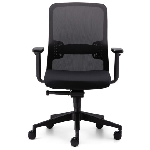 Graphite Task Chair Black with Arms