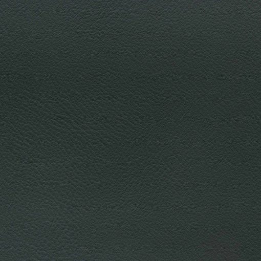Forest Green Colour Swatch