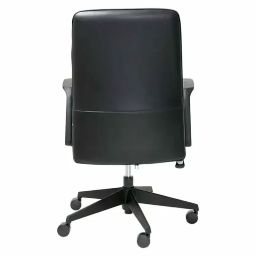 Mondo Plato Chair From Back