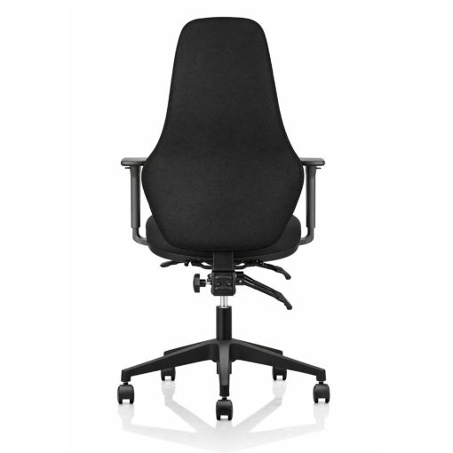 Ergora Medium Back Posture Chair Black Fabric With Arms Angled To Back