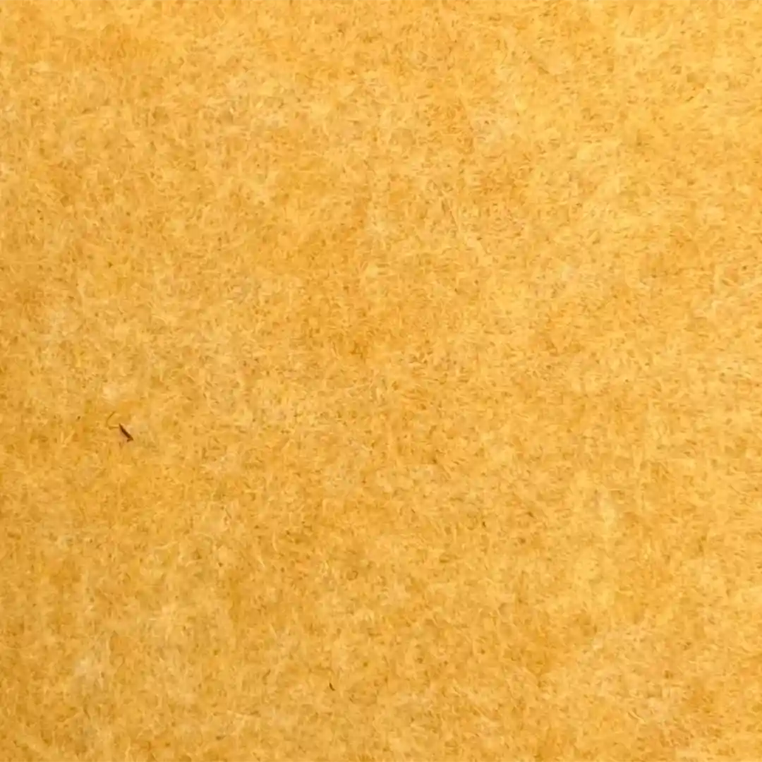 Acouline Colour Swatch Reed